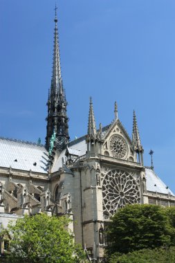 Fransa. Paris. Notre dame de paris