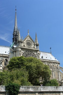 Fransa. Paris. Notre dame de paris