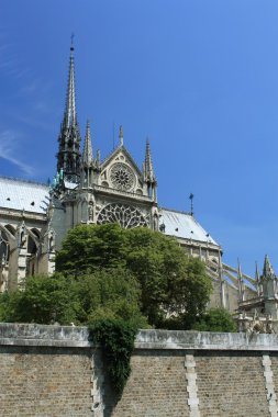 Fransa. Paris. Notre dame de paris