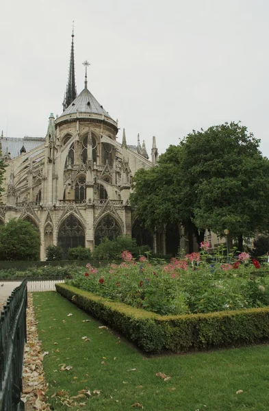 stock image France. Paris. Notre Dame de Paris