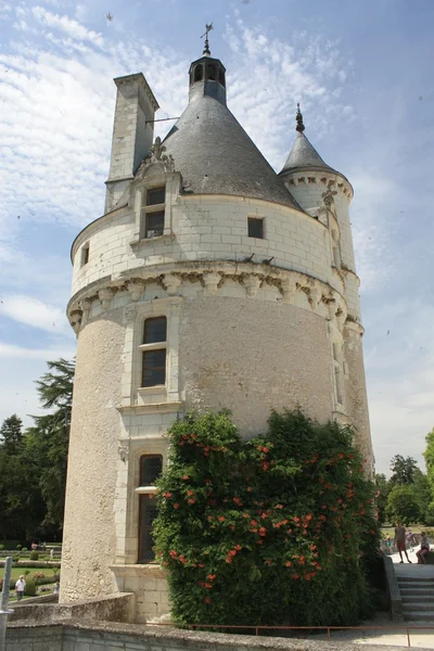 Chateau de chenonceau. Loire. Fransa — Stok fotoğraf