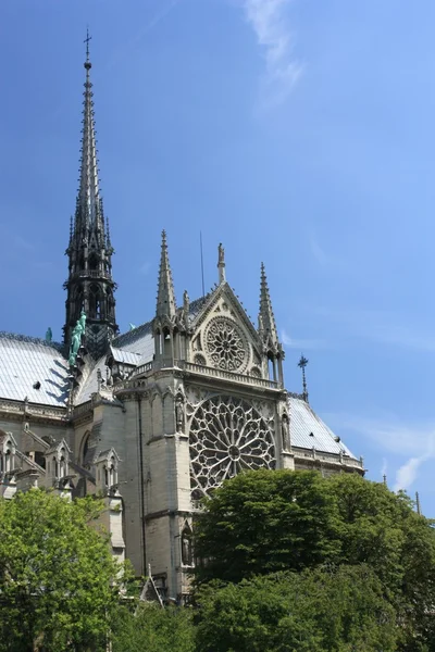 França. Paris. Notre Dame de Paris — Fotografia de Stock