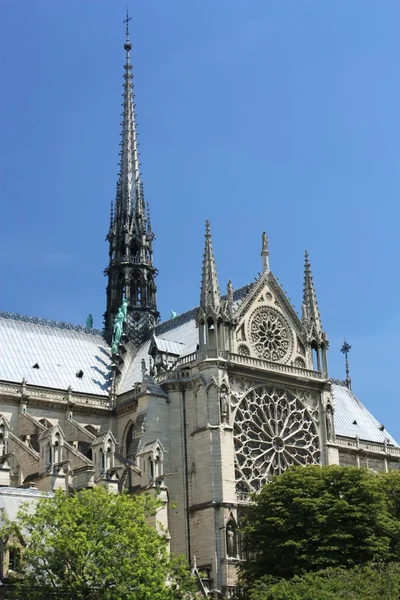 In Francia. Parigi. Notre Dame de Paris — Foto Stock