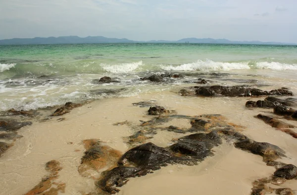 Taş tropikal plaj — Stok fotoğraf