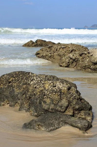 Kameny na tropické pláži — Stock fotografie