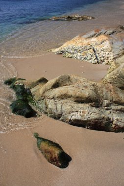 taş tropikal plaj