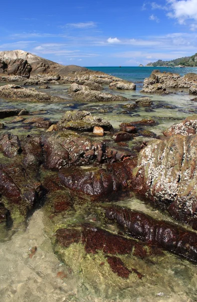 Pietre sulla spiaggia tropicale — Foto Stock