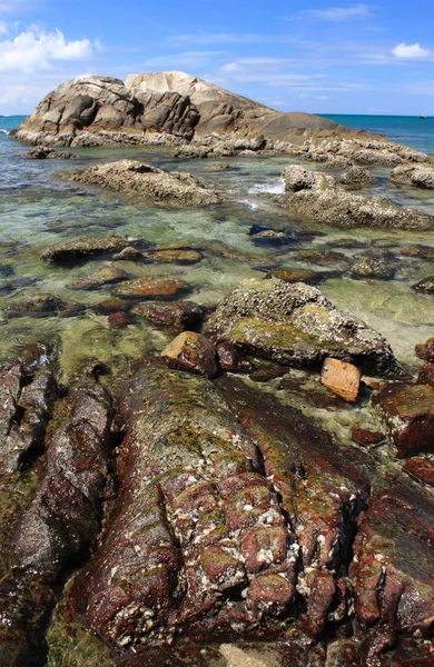 Πέτρες στην τροπική παραλία — Φωτογραφία Αρχείου