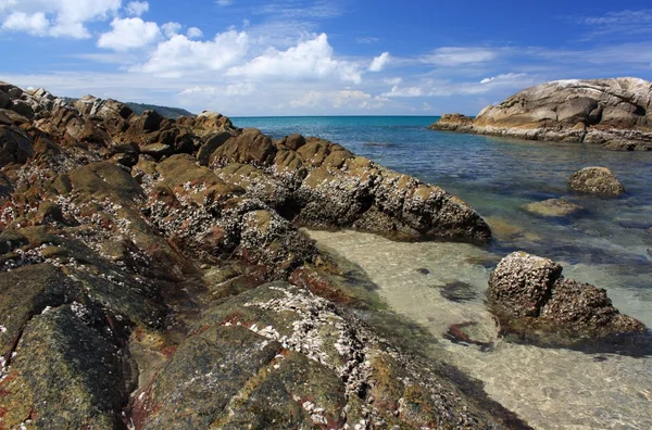 Камені на тропічному пляжі — стокове фото