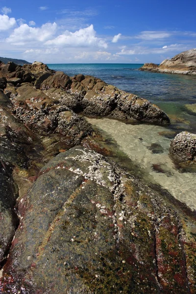 Steine am tropischen Strand — Stockfoto