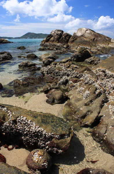 Kamienie na tropikalnej plaży — Zdjęcie stockowe