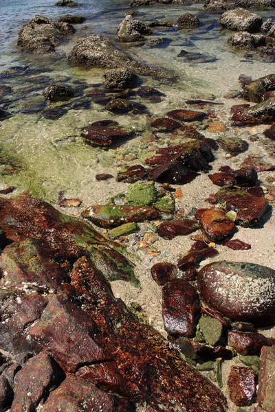 Piedras en la playa tropical —  Fotos de Stock
