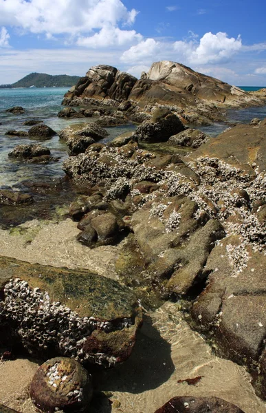 Kamienie na tropikalnej plaży — Zdjęcie stockowe