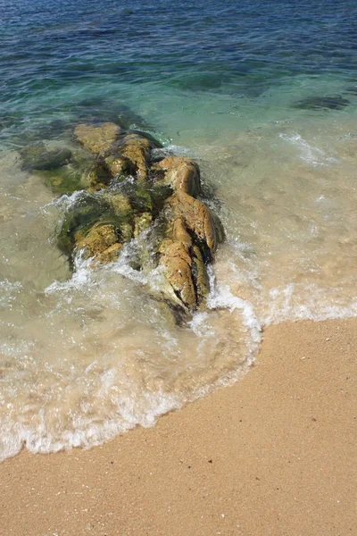 在热带的海滩上的石头 — 图库照片