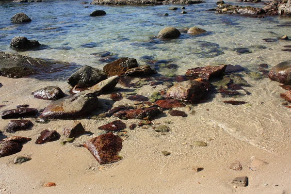 Steine am tropischen Strand — Stockfoto