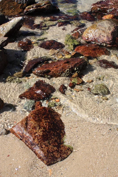 Piedras en la playa tropical — Foto de Stock