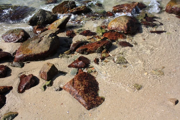 Piedras en la playa tropical — Foto de Stock