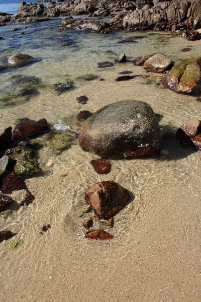 Kövek a trópusi tengerparton — Stock Fotó