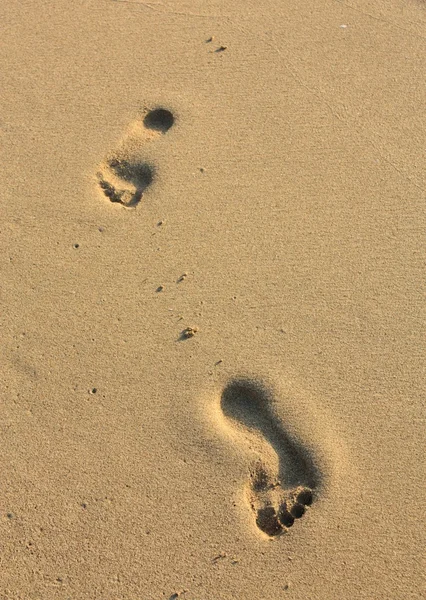 Stopa v písku — Stock fotografie