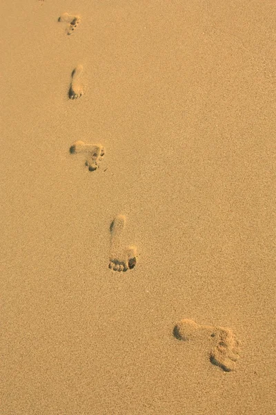 Footprint in the sand Royalty Free Stock Images