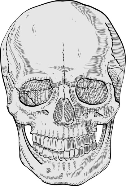 Кулл человека s