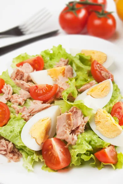 Salat mit Thunfisch und Ei — Stockfoto