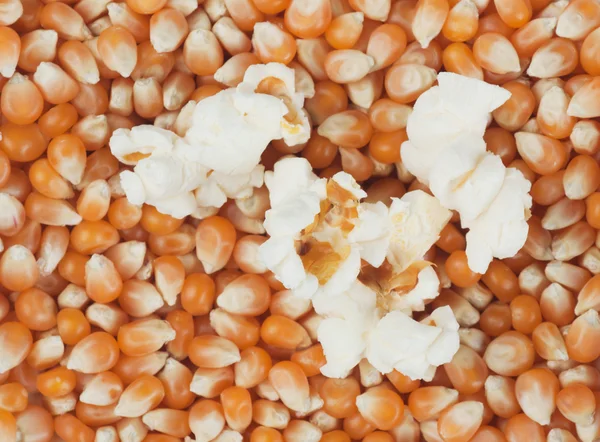 Popcorn och majs — Stockfoto