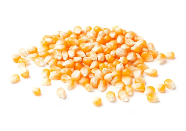 孤立在白色的玉米种子 — 图库照片