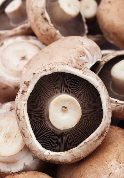 Portabello гриби — стокове фото