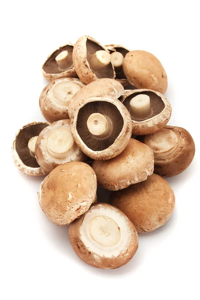 Cogumelos Portabello — Fotografia de Stock
