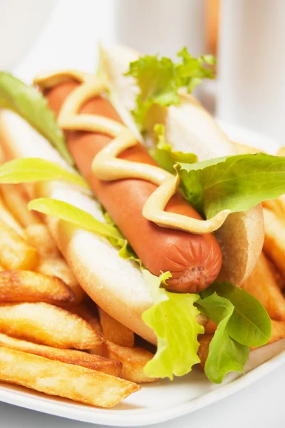 Hot dog met sla en Franse frietjes — Stockfoto