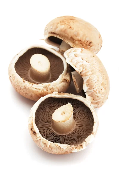Portabello champignons — Stockfoto