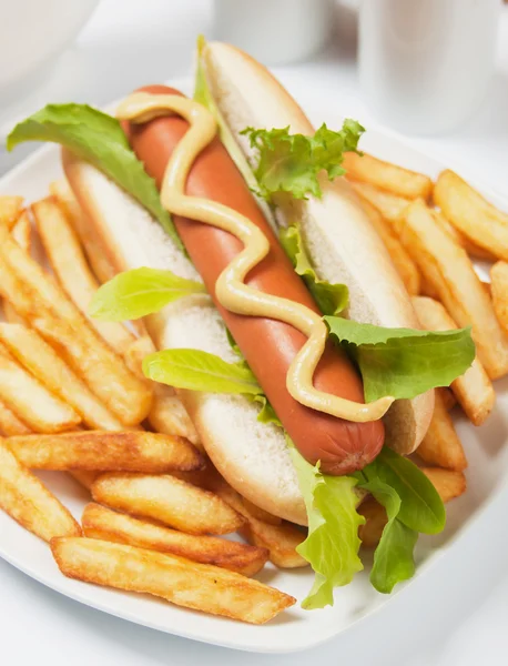 Hot Dog mit Salat und Pommes — Stockfoto