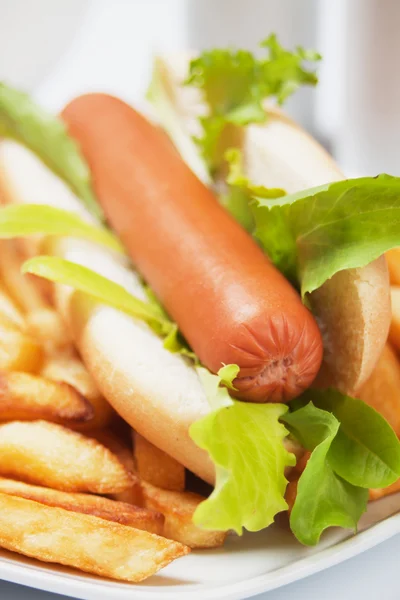 Hot dog s hlávkovým salátem a hranolky — Stock fotografie