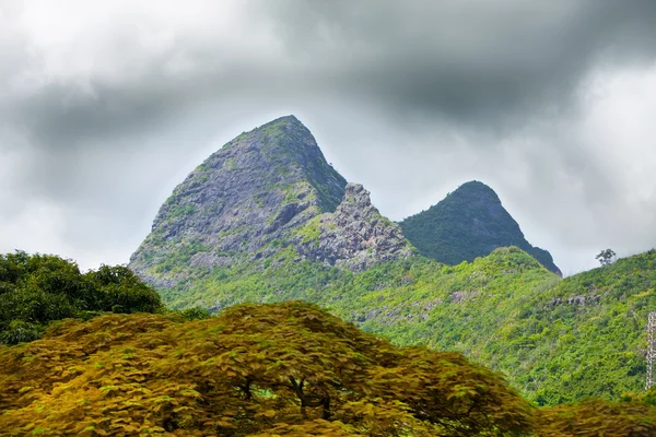 Natureza da Maurícia. Madeira e montanhas — Fotografia de Stock