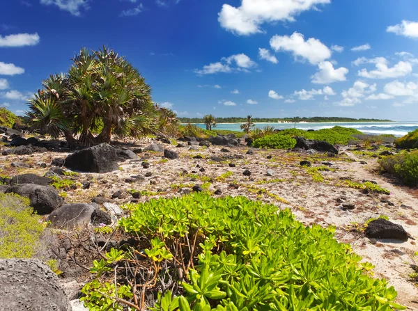 Mauritius. Steenlandschap van het eiland Gabriel — Stockfoto