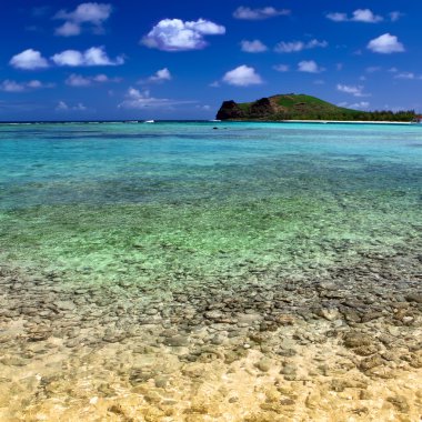 Quiet bay of the island Gabriel.Mauritius. clipart