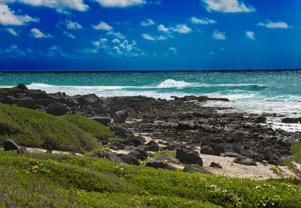 Mauricius. kamenité krajiny. ostrov gabriel. — Stock fotografie