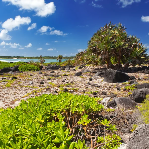 Mauritius. stenen landschap. gabriel eiland. — Stockfoto
