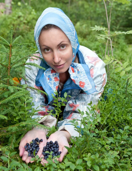 Ung kvinna plockar blåbär i skogen — Stockfoto