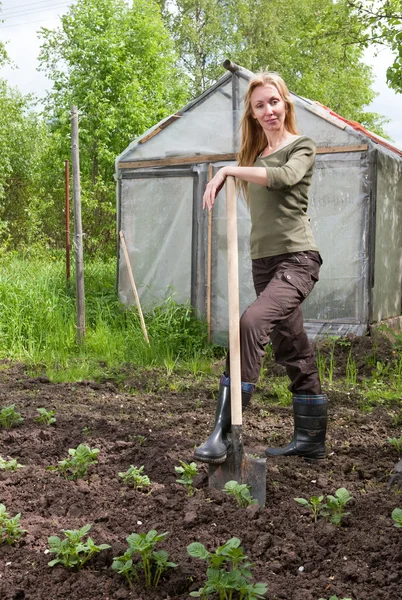 De jonge vrouw Bank een tuin-bed met de eerste spruiten van aardappel op een zomerhuisje — Stockfoto