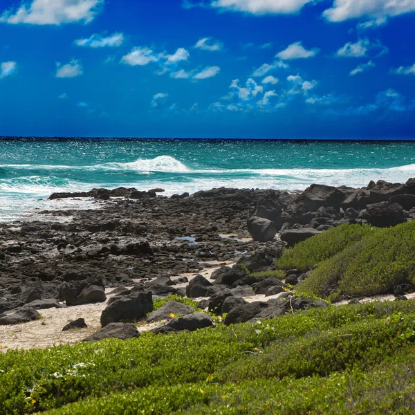 Mauricius. ostrov gabriel. — Stock fotografie
