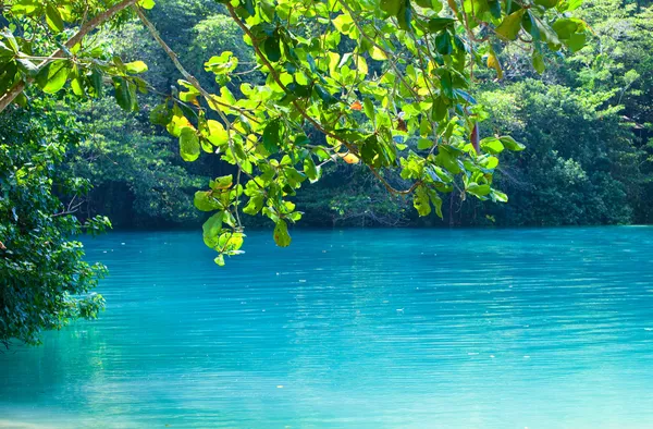Jamajka. Modrá laguna. (Populární po natáčení filmu se stejným názvem) — Stock fotografie