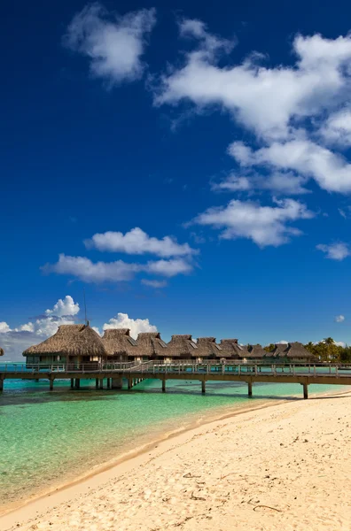 Polynésie - mořského pobřeží s palmami a malé domy na vodě — Stock fotografie