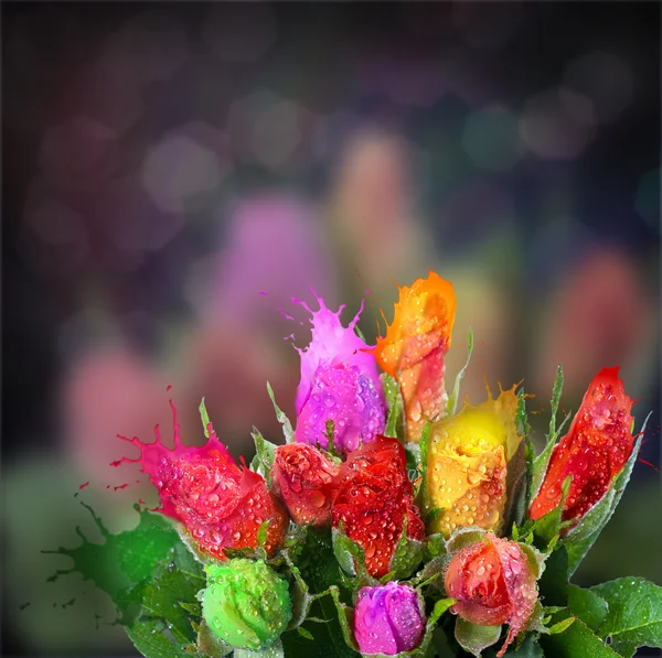 Ruusukimppu — kuvapankkivalokuva