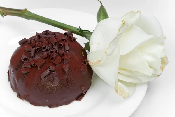 Chocolate cake and white rose — Stock Photo, Image