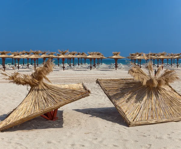 Twee toppen van strand parasols — Stockfoto