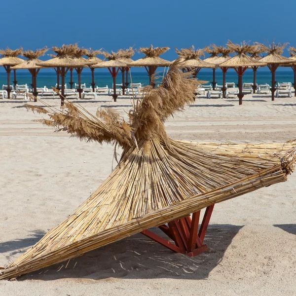 Plaj, plaj şemsiyeleri ve üstten plaj şemsiye — Stok fotoğraf