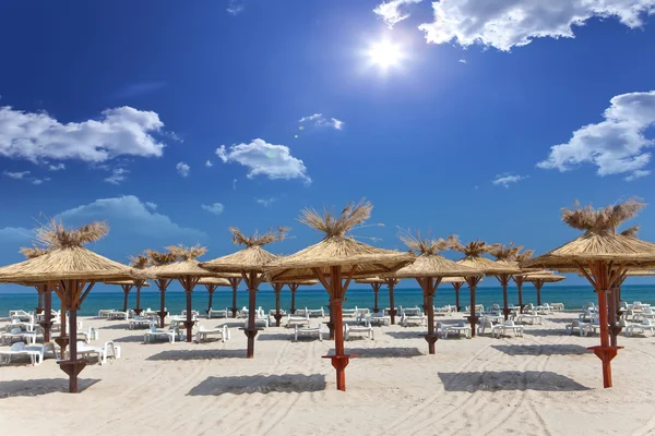 Boş plaj ve plaj şemsiyeleri — Stok fotoğraf