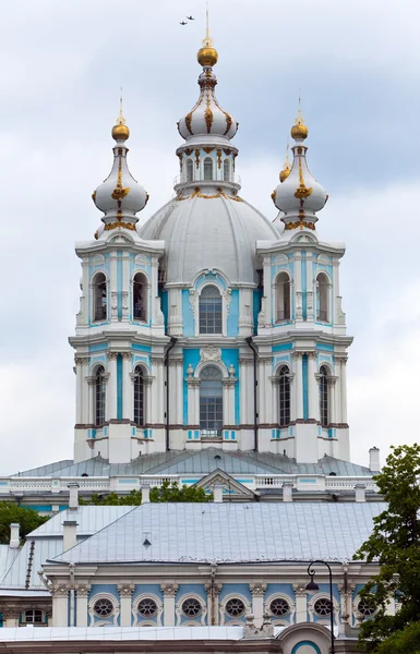 Vista sobre la catedral de Smolnyi (Convento de Smolny) San Petersburgo —  Fotos de Stock